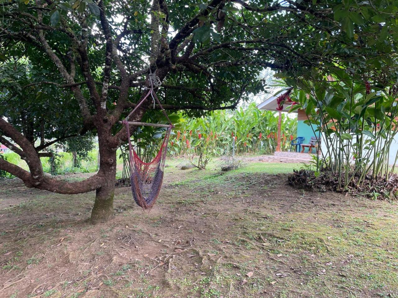 Cabana Rural Ave Del Paraiso La Fortuna Esterno foto